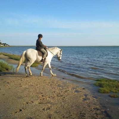 Horaire et Plan d'accès à la Plage du Linès - Accès et balade dans la Petite mer de Gâvres