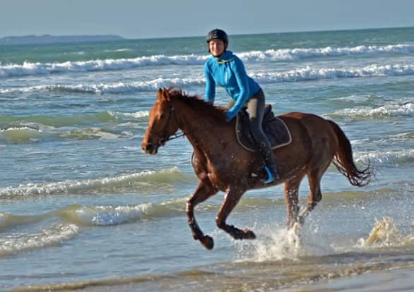 Balade, trot, galop sur la plage à 20mn de la pension