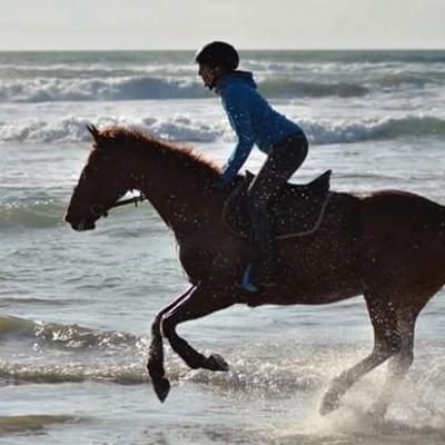 Plage du Linès à 20mn à cheval de la pension