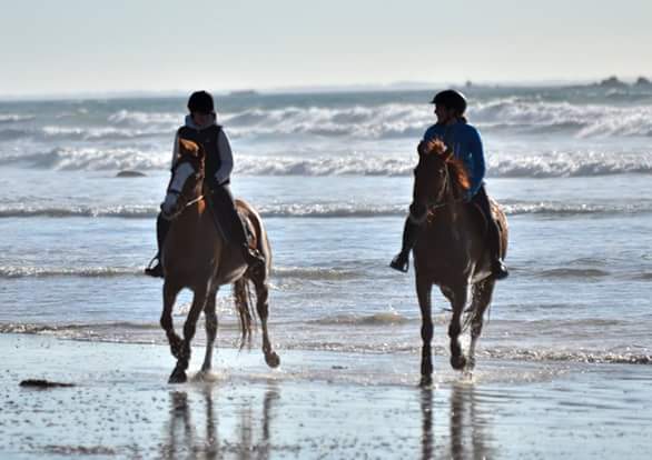 Balade, trot, galop sur la plage à 20mn de la pension