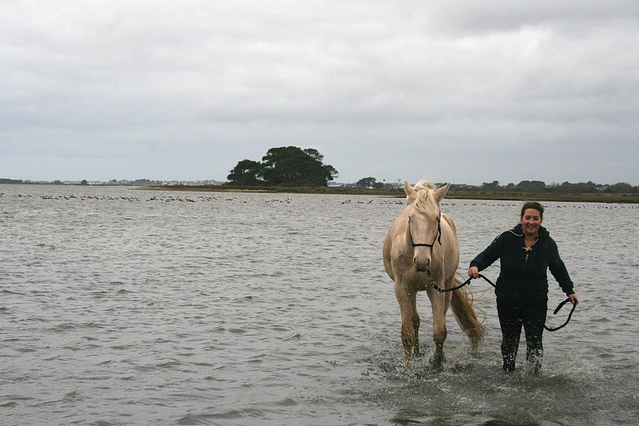 Mise en forme et ballade dans la Petite mer de Gâvres