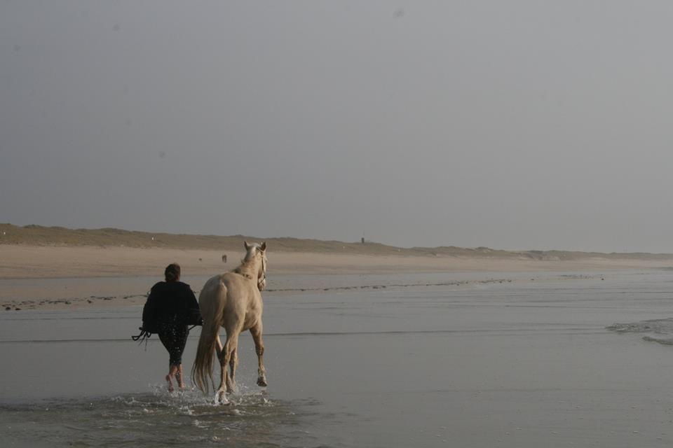 Mise en forme et ballade dans l'eau de mer sur la plage