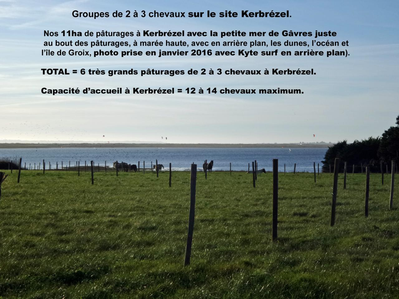 5 chevaux au calme à Kerbrézel 24 janvier 2016 au bord Petite mer de Gâvres