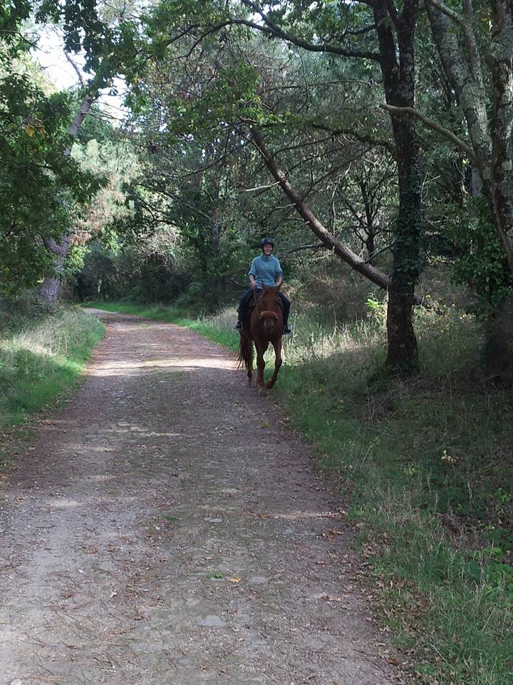 Ballade chemins dans les bois en sortant de la pension