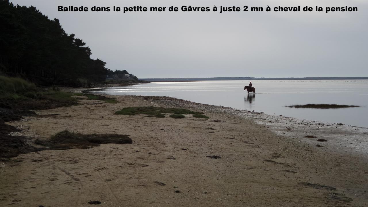 ballade petite mer de gâvres à juste 2mn de la pension