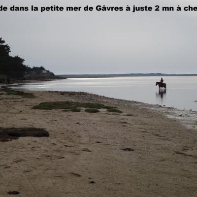 Au bord de la Petite mer de Gâvres Proche Plage