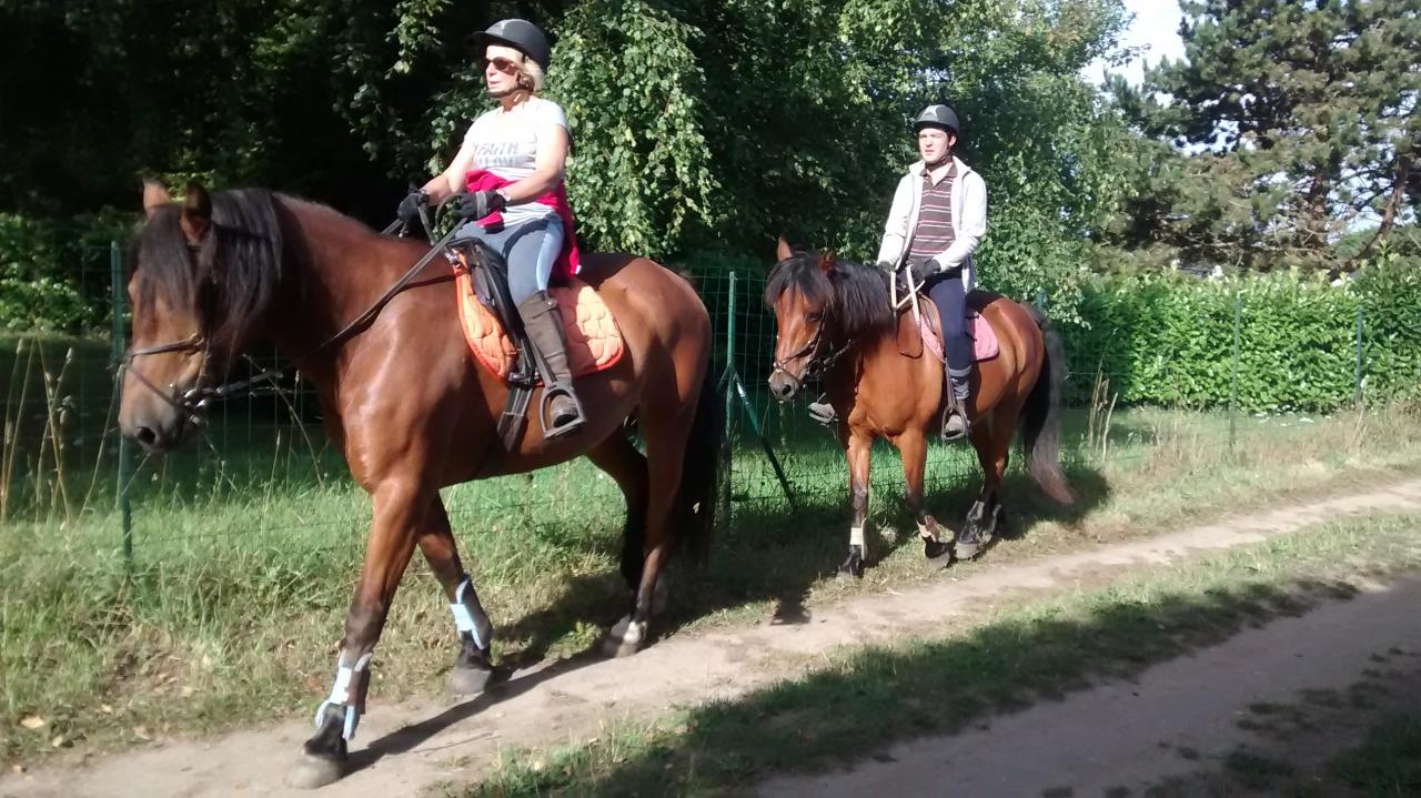 ballade sur chemins dans les bois juste en sortant de la pension