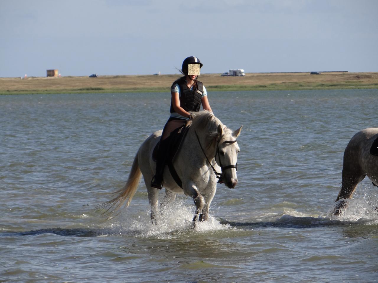 2 - Balade dans la petite mer de Gâvres à 2mn à cheval de la pension