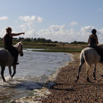 Petite mer de Gâvres à 2mn de la pension