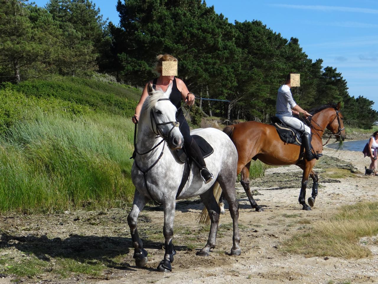 15 - Balade dans la petite mer de Gâvres à 2mn à cheval de la pension