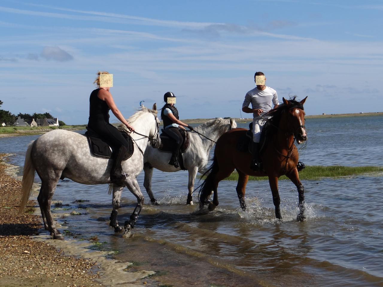 14 - Balade dans la petite mer de Gâvres à 2mn à cheval de la pension