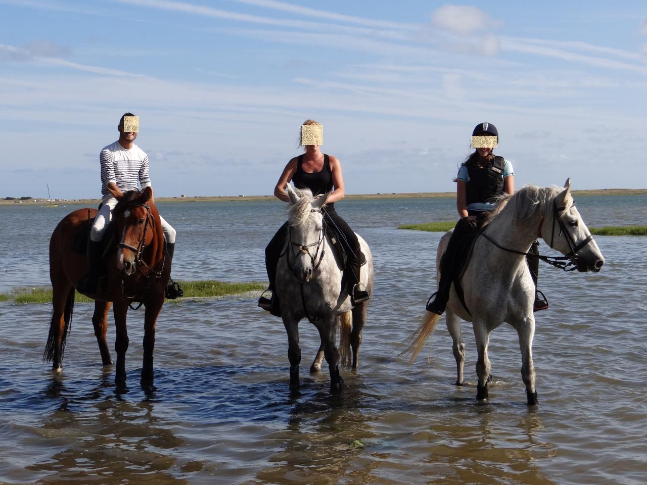 20 - Balade dans la petite mer de Gâvres à 2mn à cheval de la pension