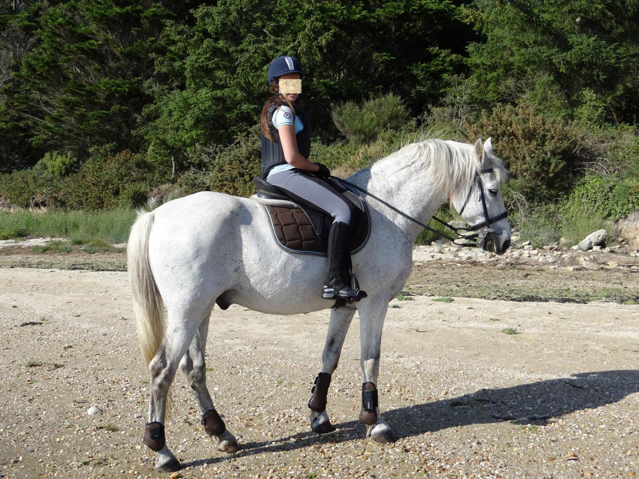 28 - Balade dans la petite mer de Gâvres à 2mn à cheval de la pension