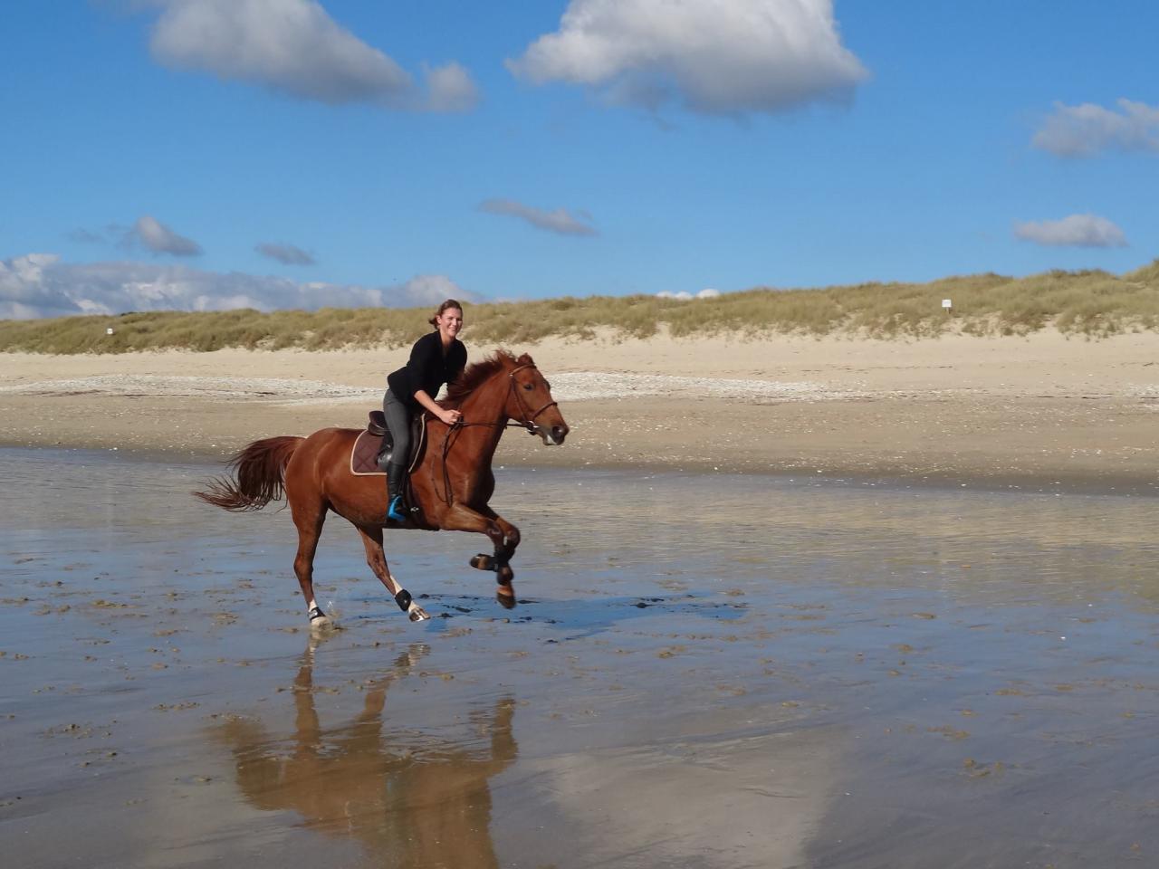 Galop sur le sable mouillé de la plage du Linès à 20mn de la pension