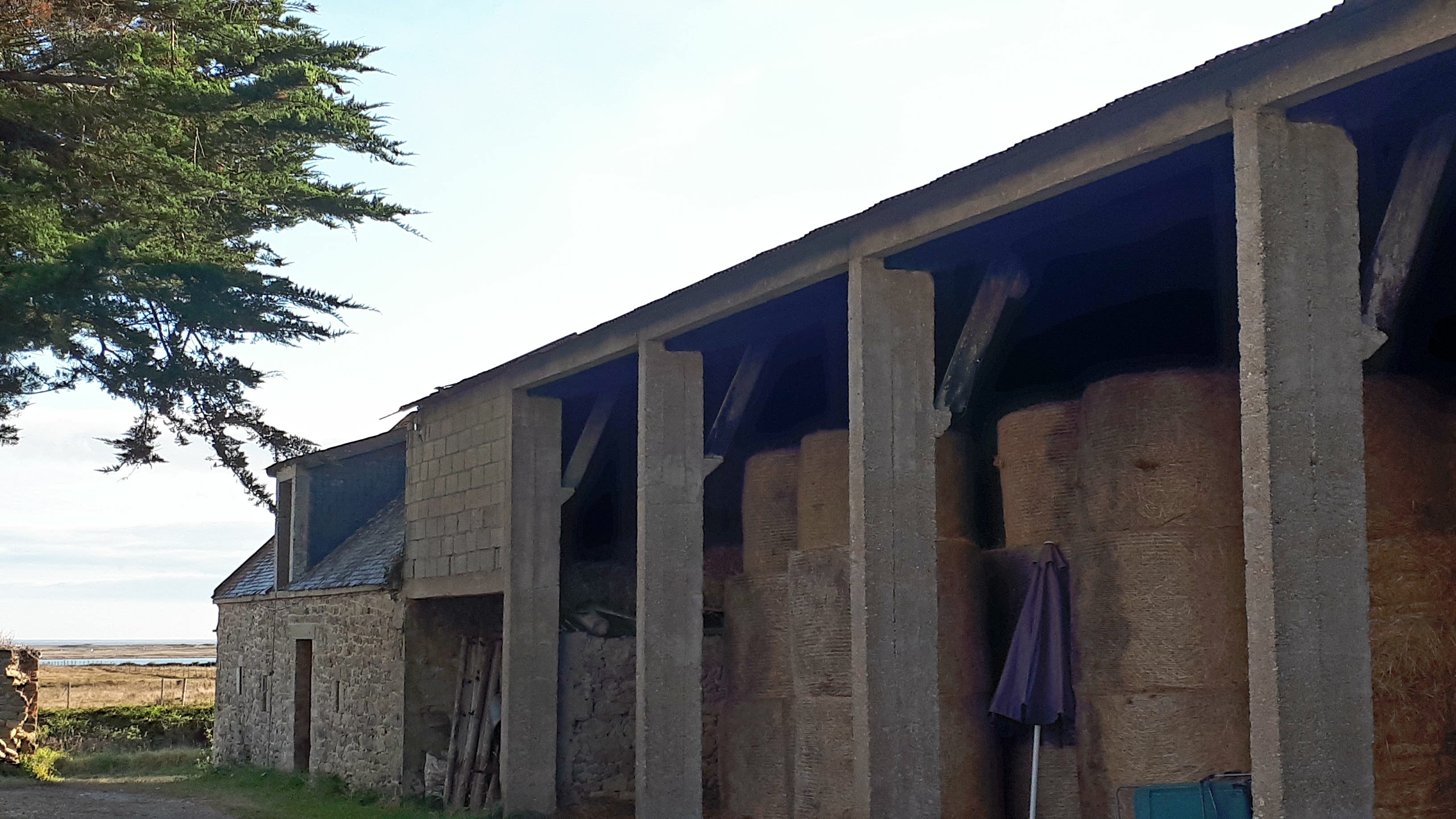 le hangar à foin et la grange-sellerie