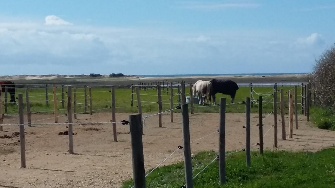 passage débouchant sur très grands prés face au littoral à marée basse