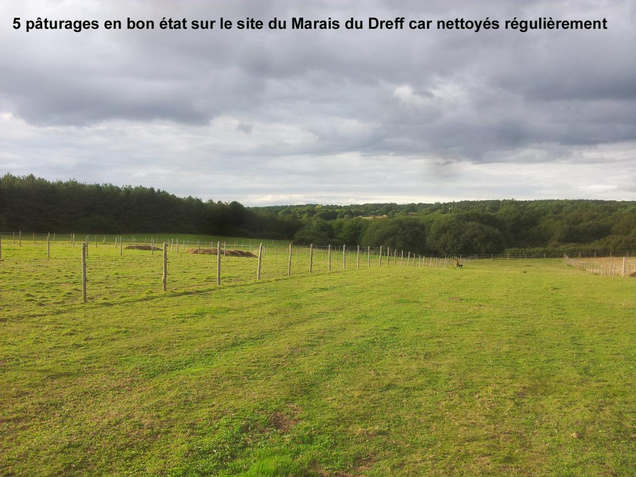 pâturages en bon état au Marais du Dreff car nettoyés par cavaliers