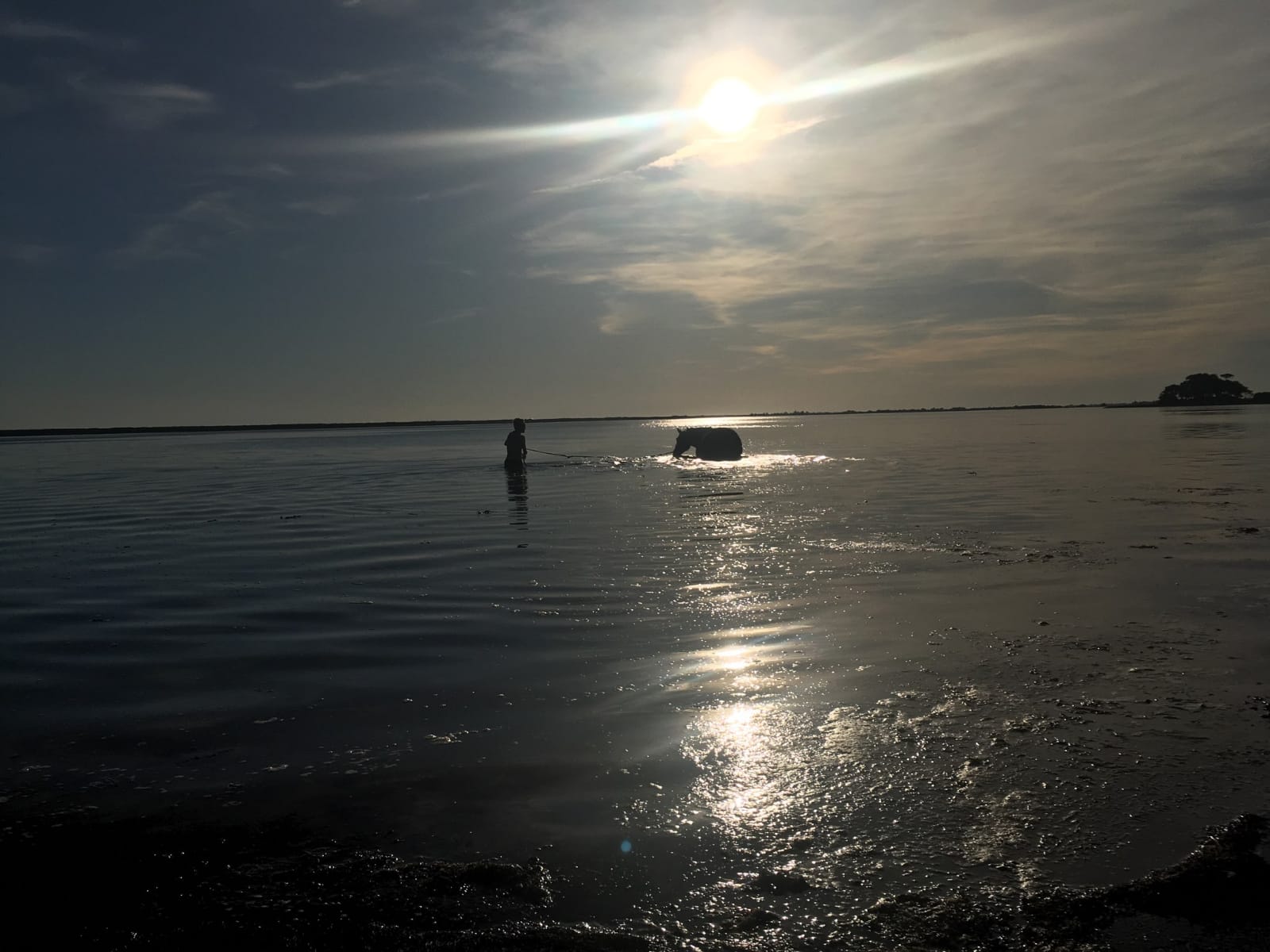 Baignade en soirée dans la Petite mer de Gâvres 16 septembre 2019