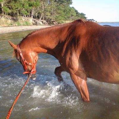 Baignades Petite mer de Gâvres TOUTE l'année