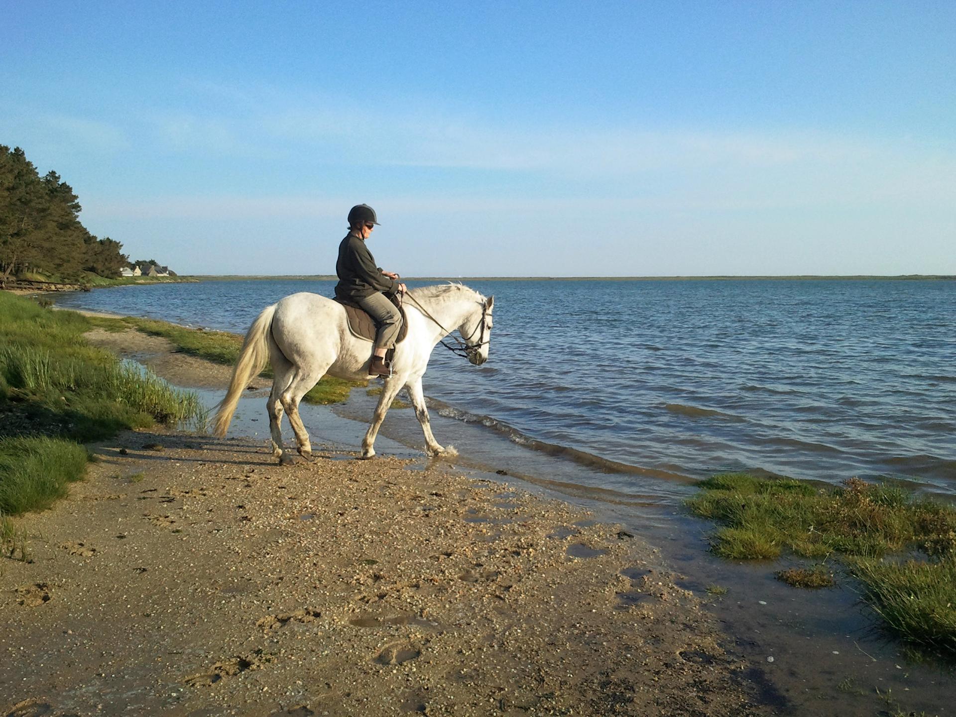 1 ballade dans petite mer de gavres