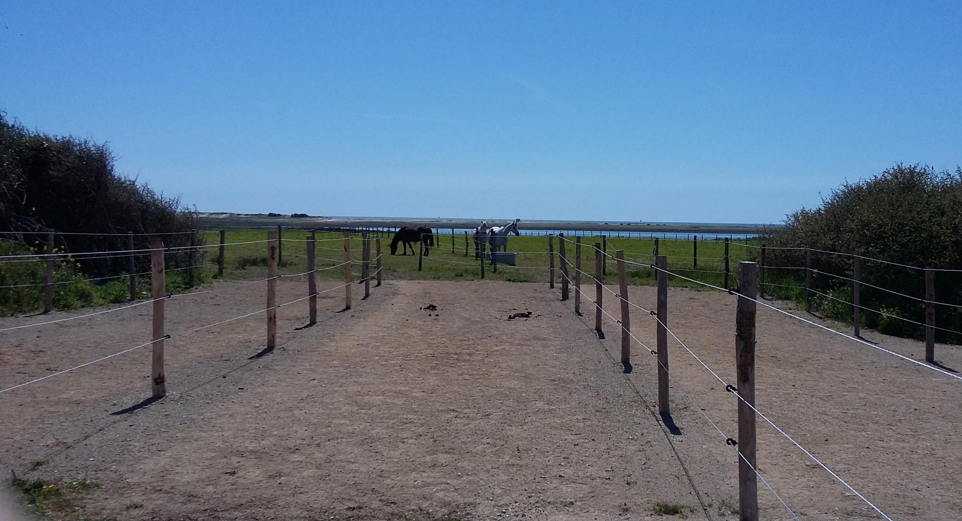 Entete 10ha paturages zoom juste au bord de la petite mer gavres