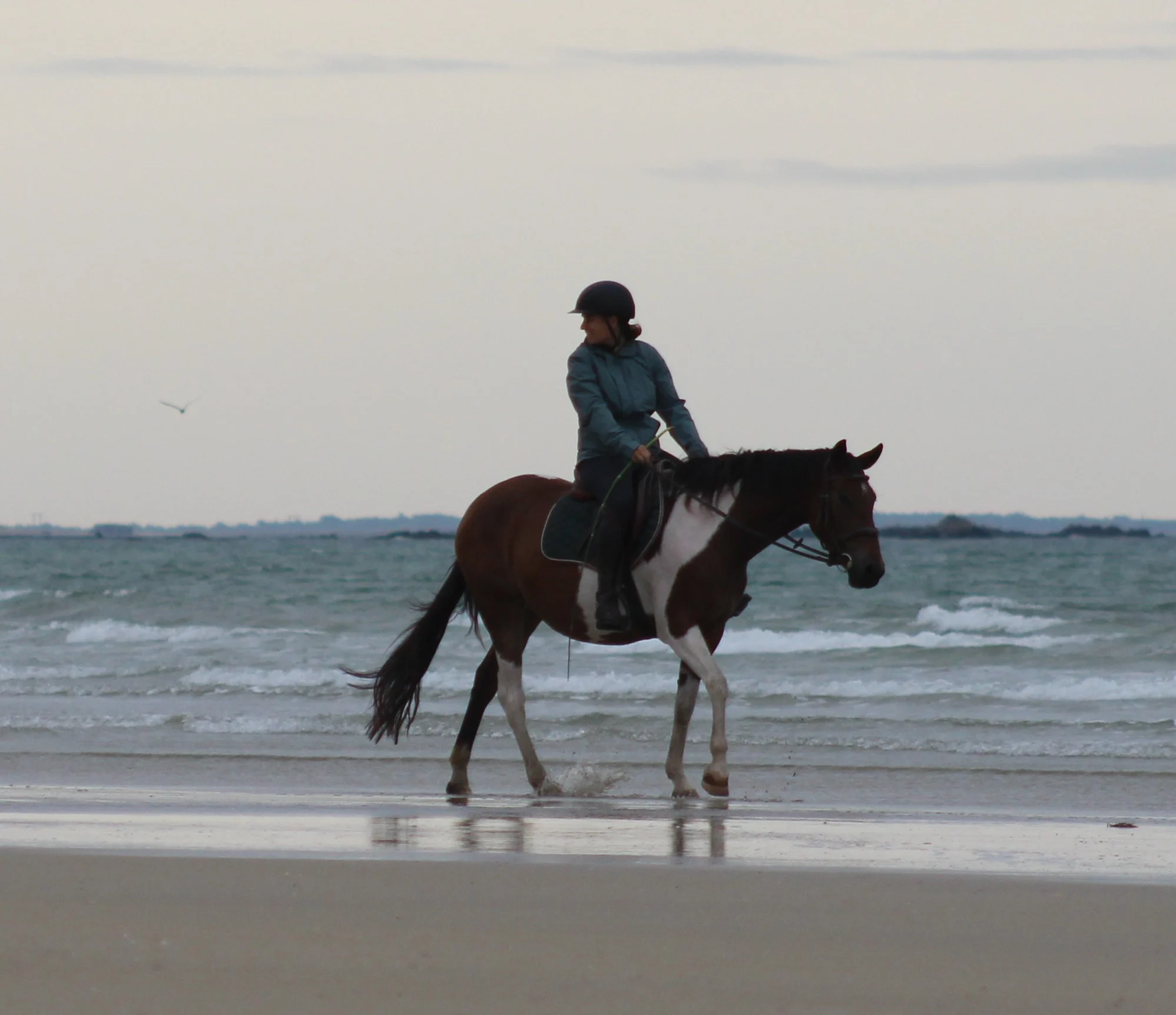 Plage de sable du Linès à 20mn à cheval de la pension